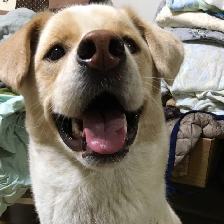 C6010ab2 f530 4c5d 82c8 a0c55150474b