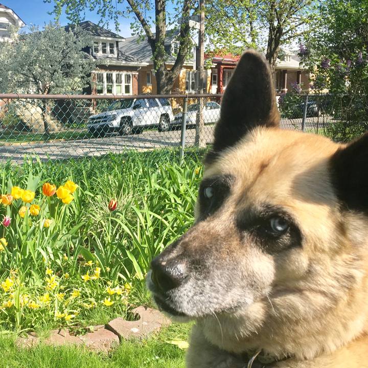 C6011f6f 248f 48d8 9f3c f7ffe90805a5