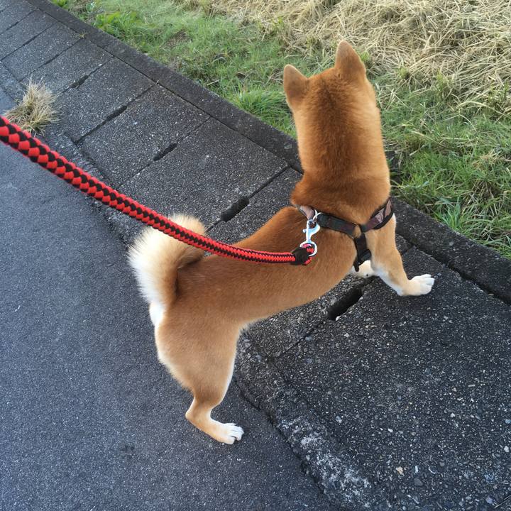 C6013b39 ae11 4d5b aaa2 d2da01247596