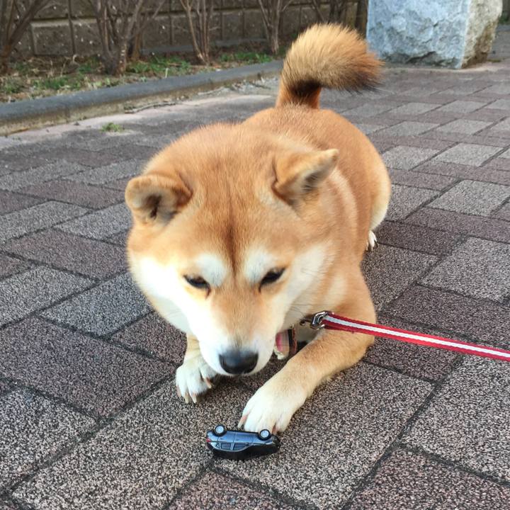 C6015aa3 9d7a 4a3d 97ad 01e11e5525e0