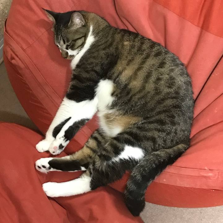 C6018023 92c5 4801 b9b2 d18317182210