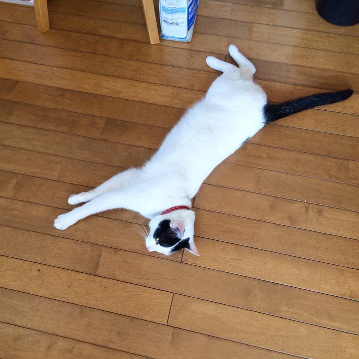 C601d4a1 51ff 42b5 8330 7933b2a6b119