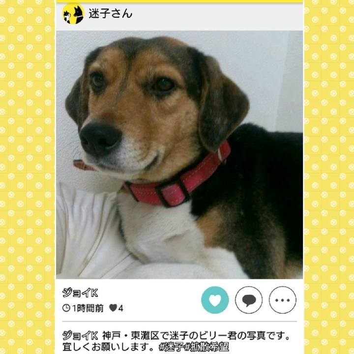 C6021982 e2ad 4686 a255 2c60034786f1