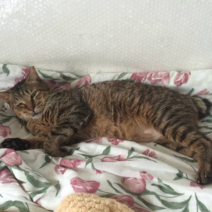 C602408b 05de 496e a707 f2827528810f