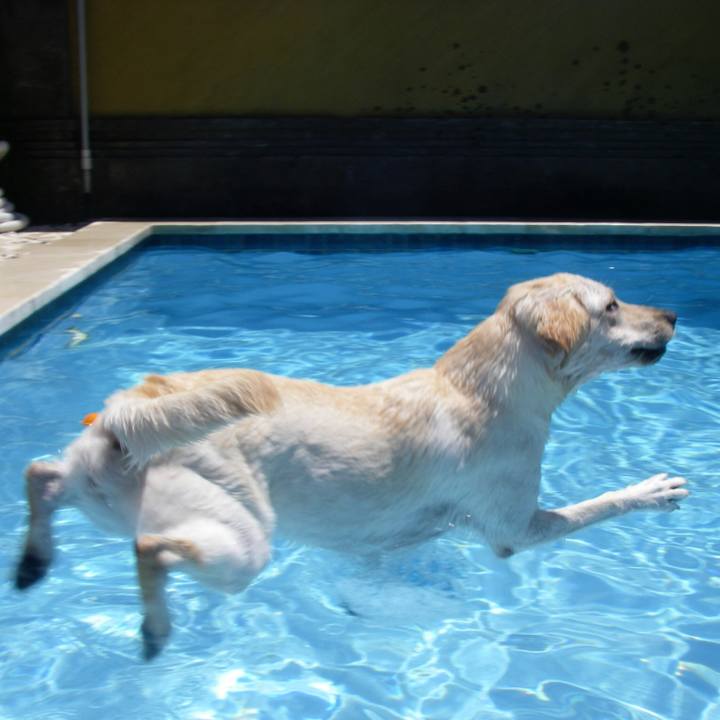 C6024229 6dbc 4e98 9072 abd1bd081914