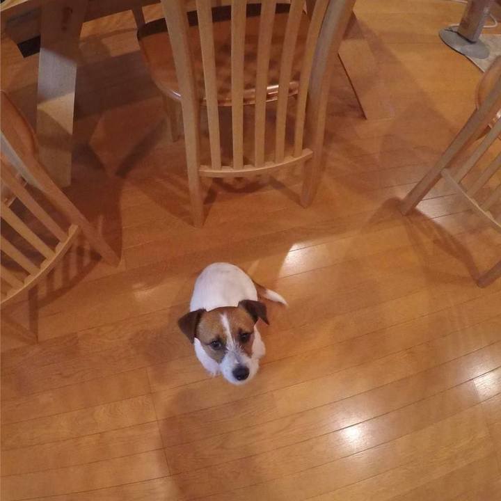 C60256f6 b222 44b1 8f52 ad40290bd916