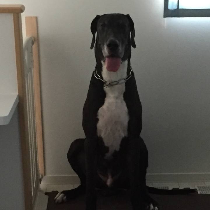 C602a57c 930c 4096 90ec dd23b43145a0