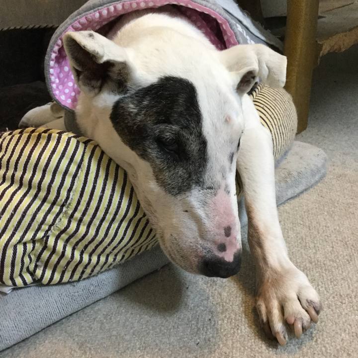 C602ca87 378c 4fd6 88fd 95af2db6fc3c