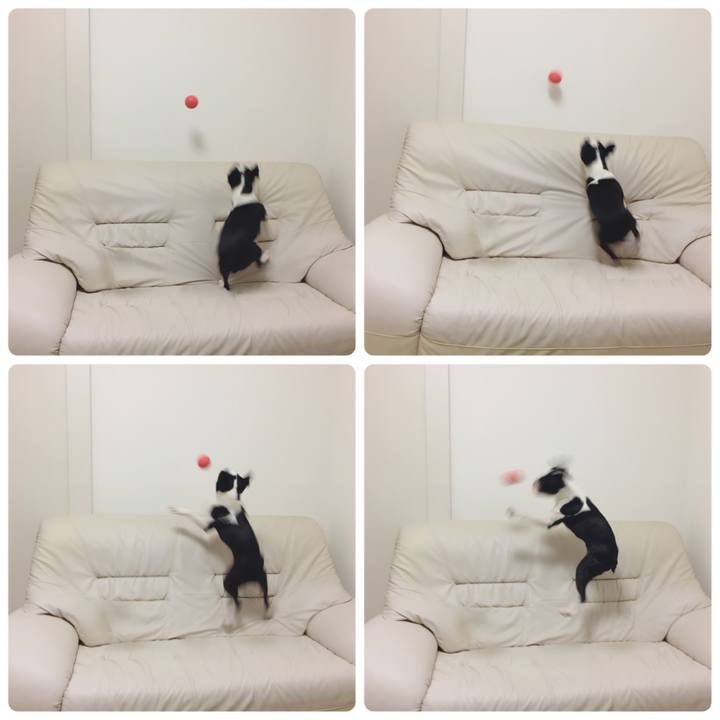 C6034322 4978 4c75 a55c 84b2e7aabe3a