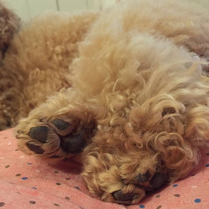 C603cd08 4a4c 4bfe 88cd 80c08e73fdfb