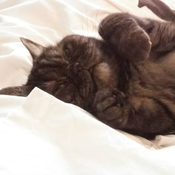 C60408bf b912 45f2 ba42 93178e78a89b