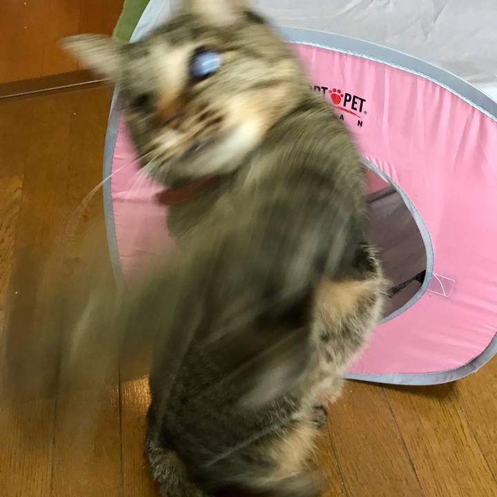 C6045567 18b4 4fc0 a798 08a3ed92f161