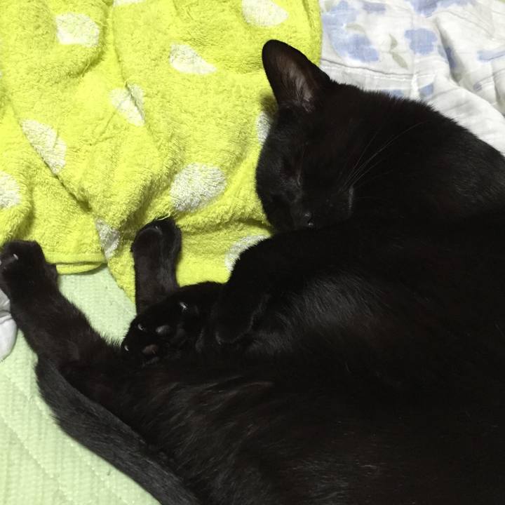 C6046e2b d1ff 4241 b662 0efd36d3056d