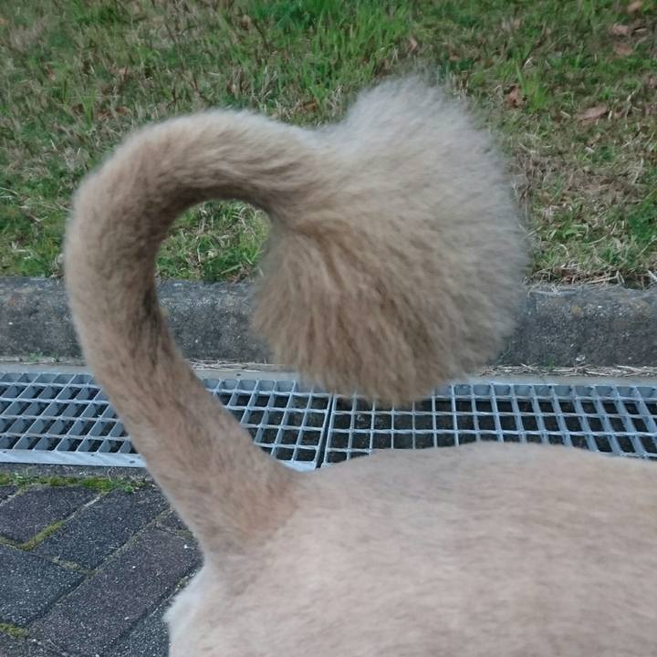 C6046f8e c61d 4775 9916 55fe396010c5