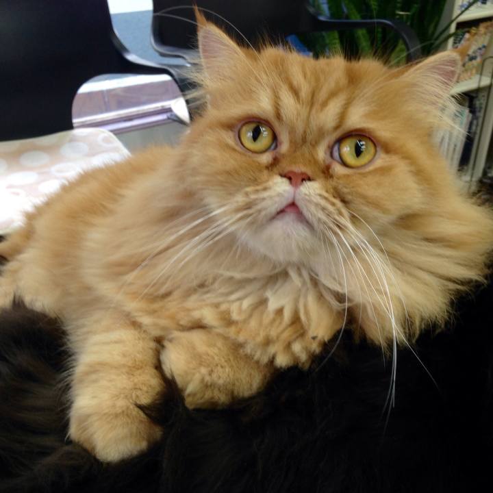 C60481af 029f 46e4 96ee 50997bc9c723