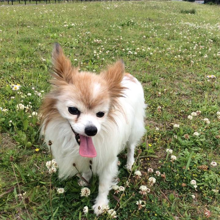 C604bab0 30db 4d8d 9de2 46e686ef4b6a