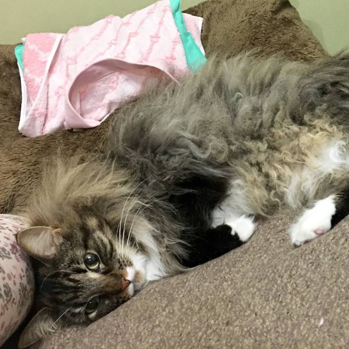 C604d519 708a 47e1 a493 6dfb0630cae5