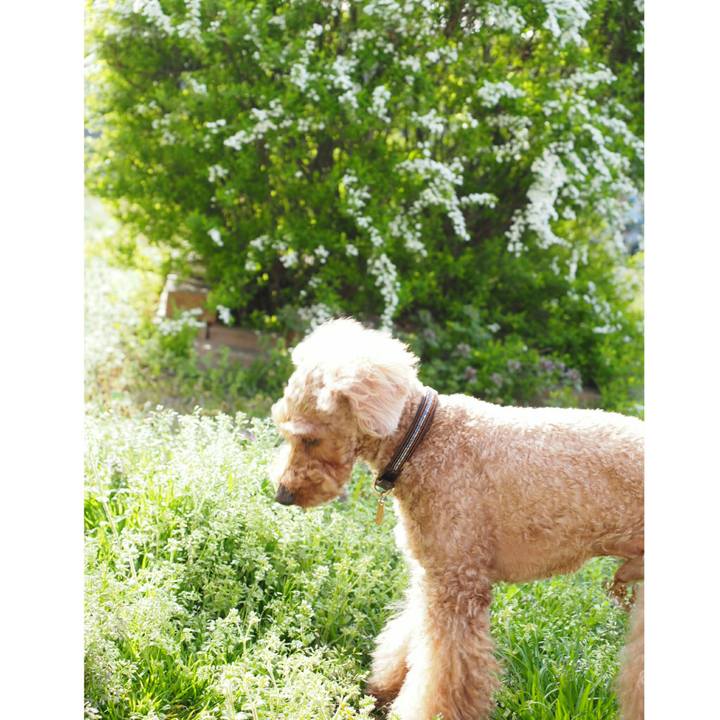 C6055ae4 b700 4a61 8250 66027faf527a