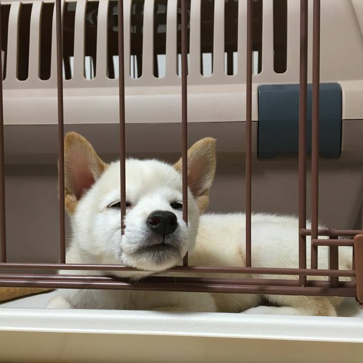 C6058ef6 5130 4f20 b899 08e7c821d19a