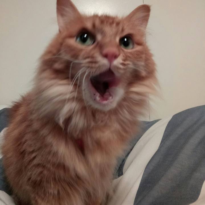 C605cba5 2fc3 414e b170 26b6eef1ab01