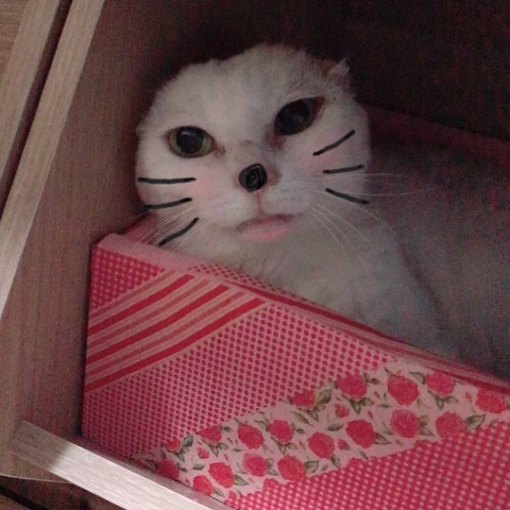 C606a939 312b 40ad a20d eca8ebf0c413