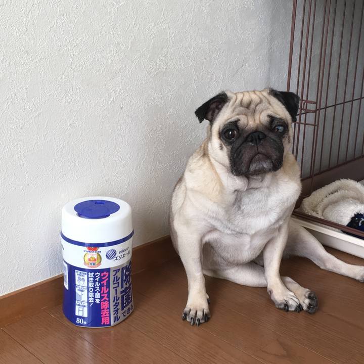 C6078b0f f1d2 4b0e 9b3f 71e5bbb36650