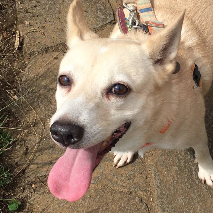 C607aa83 5790 4d40 a3cc 046b590f06da