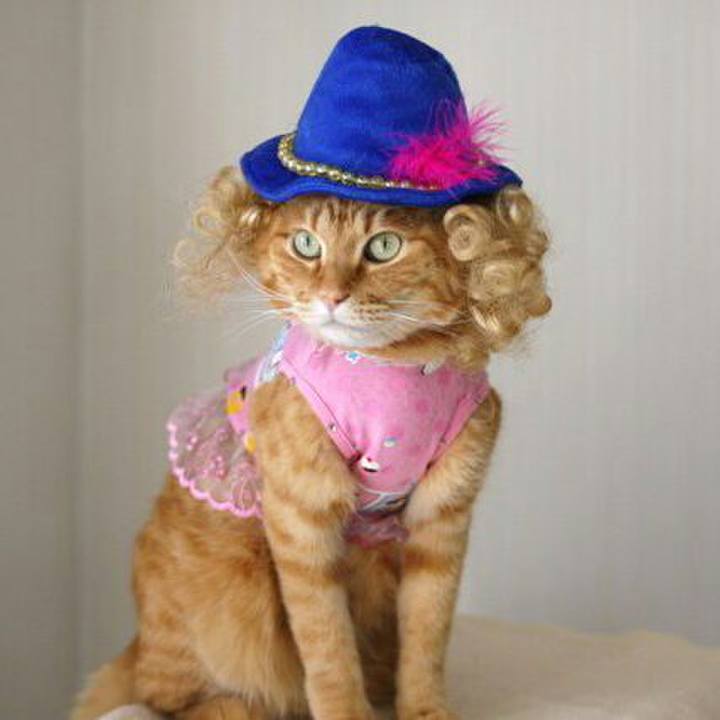 C607b832 26cd 44e2 9e57 e41fa47688a4