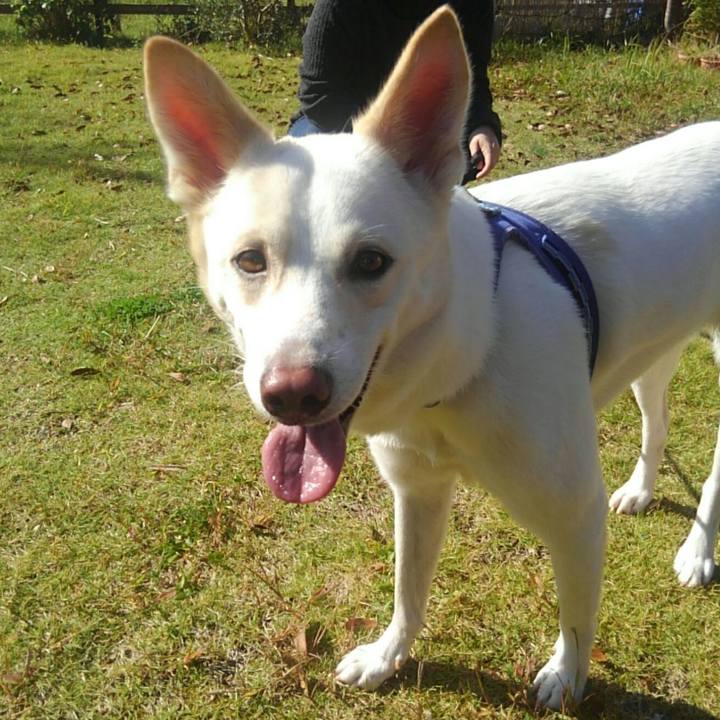 C6080f27 cff7 478f 9404 ea5c4b3da3b6