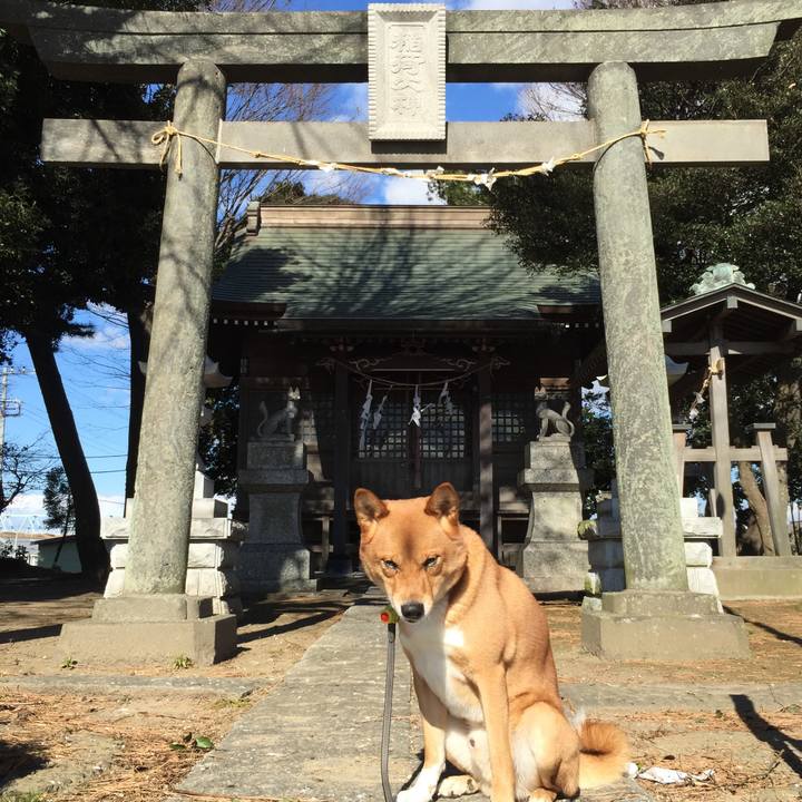 C608522f d5e4 4125 b22e fc43f4d9bbfc