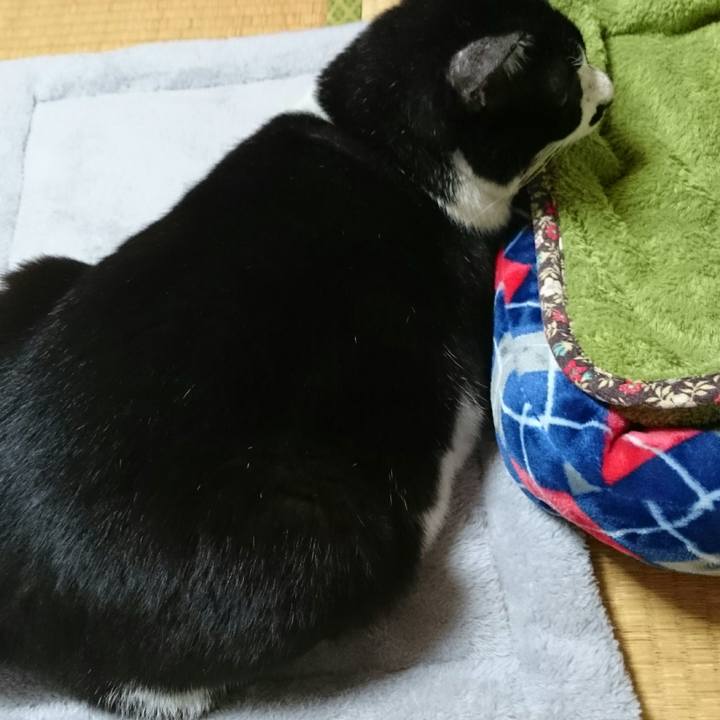 C608a847 f7c3 4853 908b 5a263688e85d