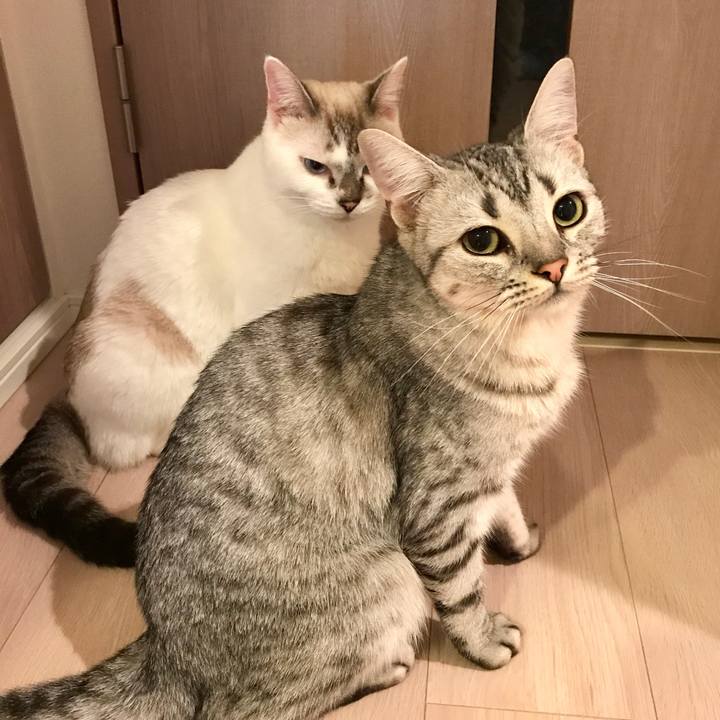 C6096efc bf43 4a80 9515 abc482fb4f2a