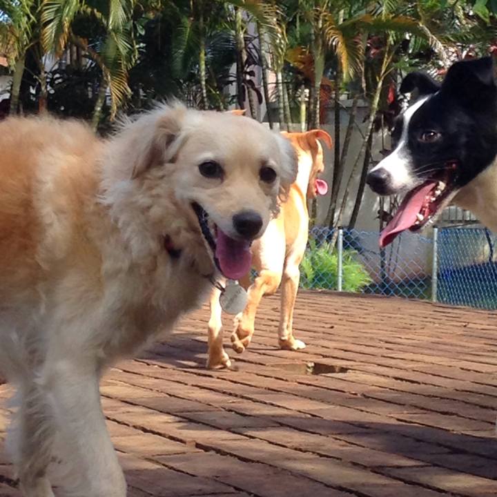 C609c4a4 ecb9 4a29 9d27 44eaeb6ee1c2