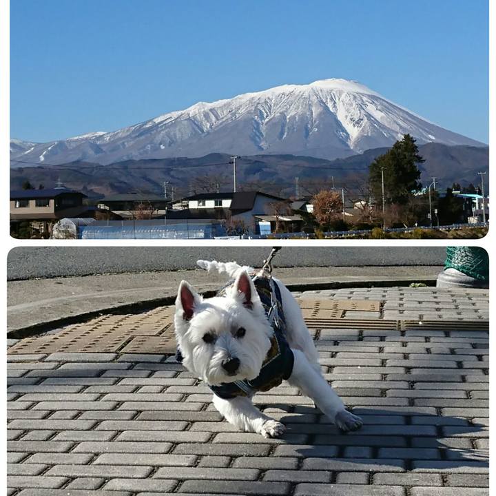 C609f6e1 ebe4 40d9 8997 690d41b00a2a