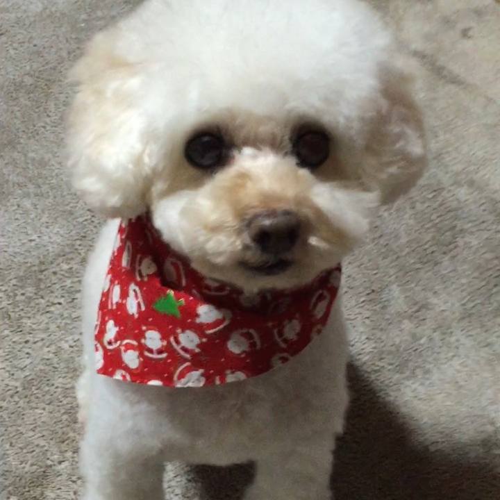 C60a47d8 c973 4720 b684 c642ecead7f0