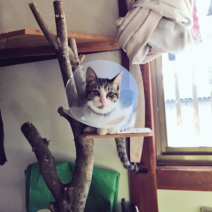 C60a728f fb77 44ae 9398 59caf14f3b68