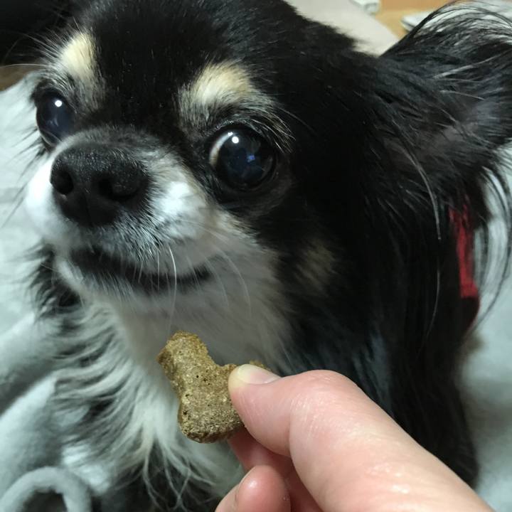 C60b56a0 33b5 4a3c b423 2b18e9179eca