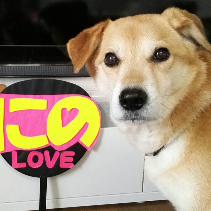 C60c5ef0 d7fb 4942 b02c fb9f44409b46