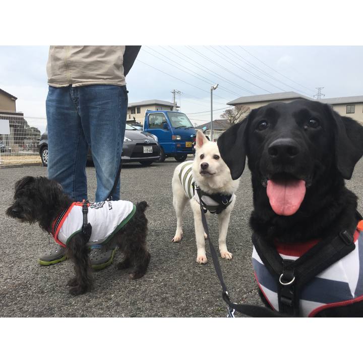 C60c6629 6a6b 4400 a3f1 5a615ac04d8f