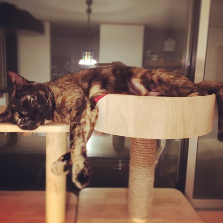 C60c7980 8a12 49d9 9431 d35afd17e355