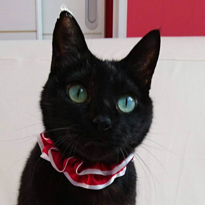 C60cd8a0 74b0 478a 98cb 4b9cc2d77d78