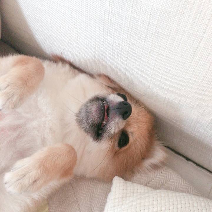 C60d4aae d422 48e8 98e4 206fd6b08b32