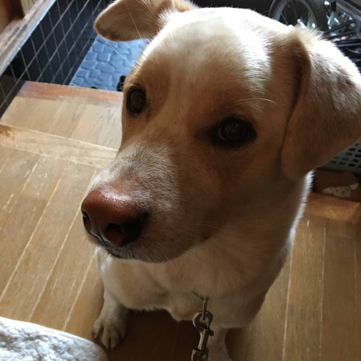 C60d9660 8e99 49a7 b56c 32acbc30ff29