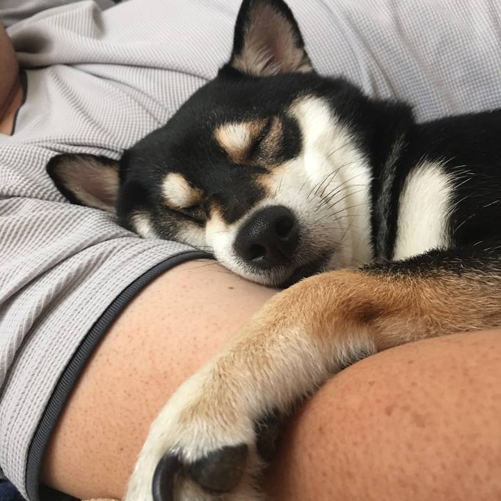 C60db4c7 9fcb 4342 ae90 cad28787f483