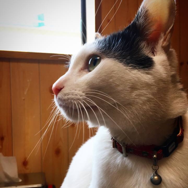 C60e1ae8 b278 426f 9475 8ae092174eac