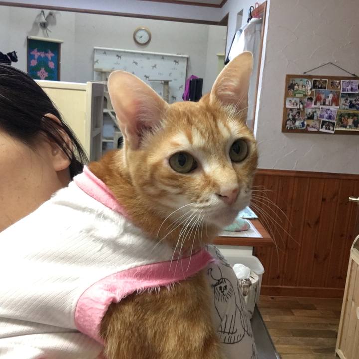 C60e70ab bc41 4122 be5b e47599302a4b