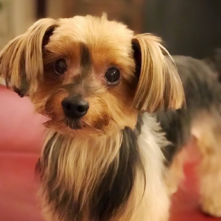 C60edc38 277d 42e8 8a60 e6f7e0fe01d3