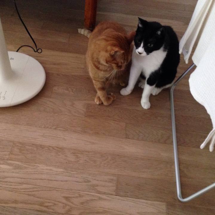 C60f1ae5 9378 40e1 9f0d b750c88efbbd