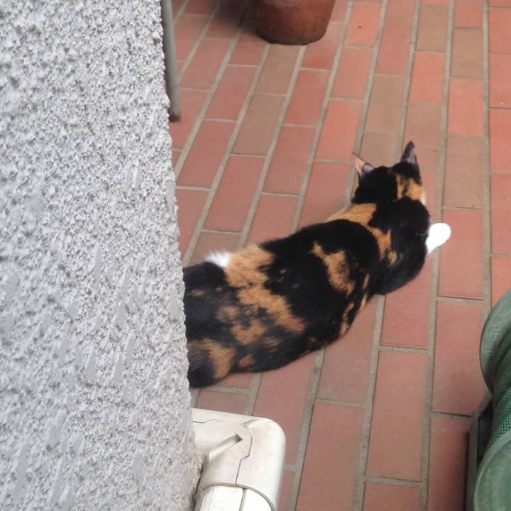 C6105606 54d8 41c4 843a 22778cd42ec1