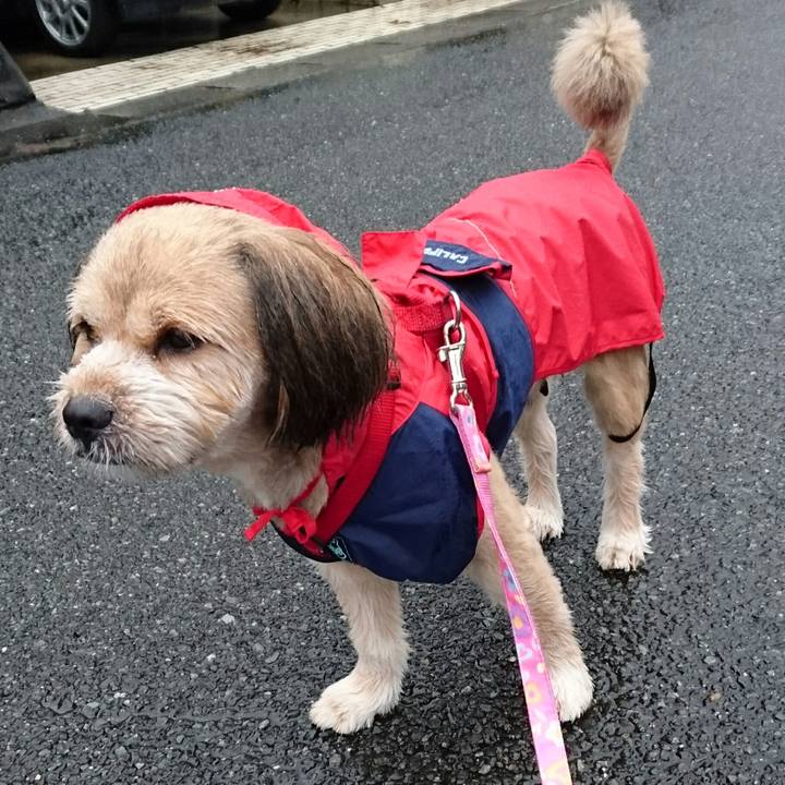 C6115475 cdf1 4970 8c75 2ffe09f5f796